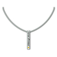 Pittsburgh Steelers NFL / NCK003 - Silver Bar Necklace