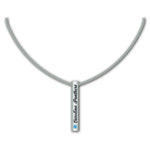 Carolina Panthers NFL / NCK003 - Silver Bar Necklace