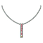 San Francisco 49ers NFL / NCK003 - Silver Bar Necklace