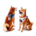 Wholesale Auburn Tigers Home and Away Pet Bandana Set