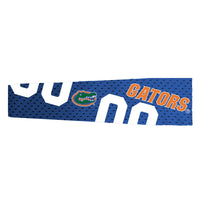 Wholesale Florida Gators FanBand