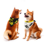 Wholesale Iowa Hawkeyes Home and Away Pet Bandana Set