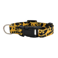 Wholesale Iowa Hawkeyes Pet Team Collar - Assorted Sizes