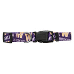 Wholesale Washington Huskies Pet Team Collar- Assorted Sizes