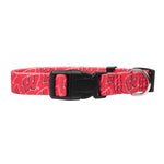 Wholesale Wisconsin Badgers Pet Team Collar- Assorted Sizes